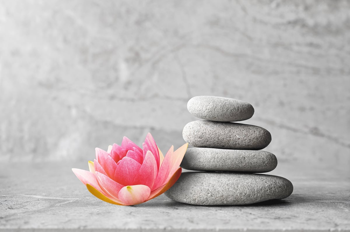 Herbal wellness and natural remedies